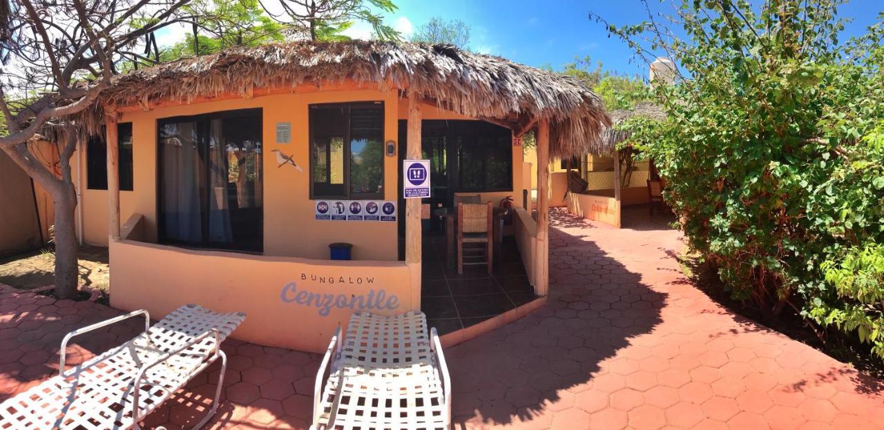 Bungalows Cabo Pulmo Exterior photo